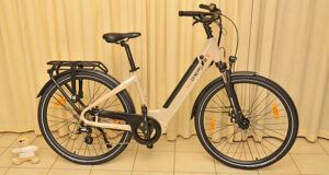 DERUIZ City E-Bike Quartz im Test - geeignet für Fahrer zwischen 160cm und 190cm Körpergröße