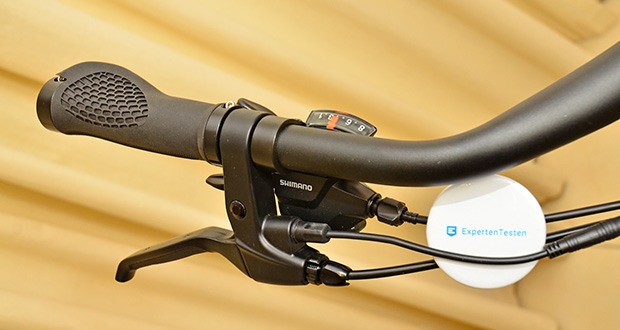 DERUIZ City E-Bike Quartz im Test - mit Shimano 8-Gang-Schaltung