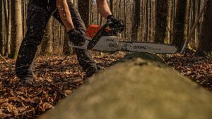 Kettensäge leihen vs. Kettensäge kaufen