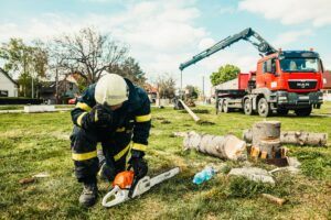 Kettensäge reinigen: So gelingt es am besten