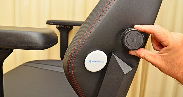 Secretlab Titan Evo Gaming Stuhl im Test - Patentiertes in 4 Richtungen Verstellbare L-Adapt-Lordosenstütze
