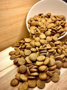 Welche Schwachstellen gibt es im vegetarisches Hundefutter Test?