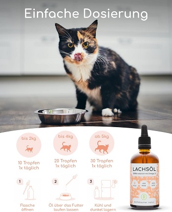 Welche Arten von Lachsöl für Katzen gibt es im Test und Vergleich?