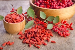 Daten aus dem Bio Snacks Test und Vergleich
