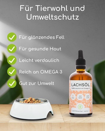 Wo kann ich einen Lachsöl Testsieger für Katzen kaufen und online bestellen?