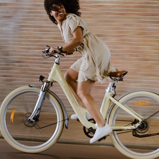 Die 5 besten E-Bike mit Rücktrittbremse Damen Tests und Vergleiche