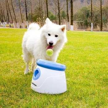 Welche Arten von Ballwurfmaschinen für Hunde gibt es im Test und Vergleich?