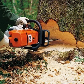 Welche Arten von Stihl Kettensägen gibt es im Test und Vergleich?