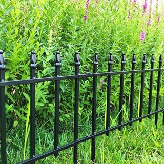 Verschiedene Arten aus dem Gartenzaun Test und Vergleich