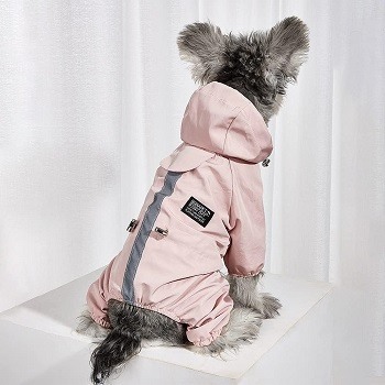 Welche Arten von Regenmantel für Hunde gibt es im Test und Vergleich?