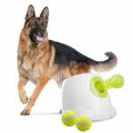 Ballwurfmaschine Hund Test 2025 • Die 3 besten Ballwurfmaschinen für Hunde im Vergleich