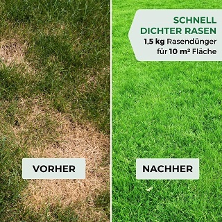 Fragen aus dem Reparaturrasen Test und Vergleich