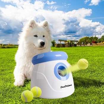 Wo kann ich einen Ballwurfmaschine Hund Testsieger kaufen und online bestellen?