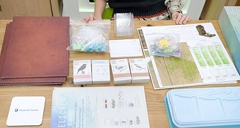 Wo kann ich einen Gesellschaftsspiel ab 5 Jahren Testsieger kaufen und online bestellen?