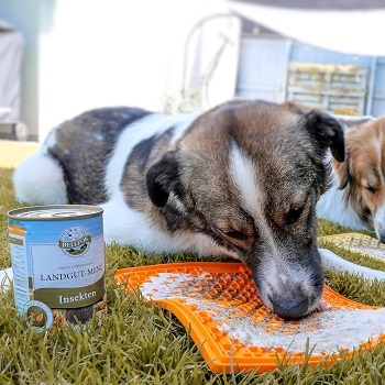 Wo kann ich einen Insekten Hundefutter Testsieger kaufen und online bestellen?