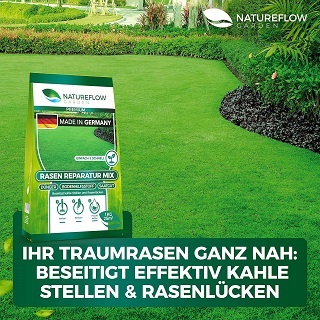 Worauf sollte ich beim Kauf eines Reparaturrasen im Test achten