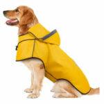 Regenmantel Hund Test 2025 • Die 8 besten Regenmäntel für Hunde im Vergleich