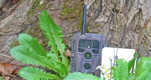 Was ist die beste Wildkamera mit live-Übertragung auf Handy im Test und Vergleich