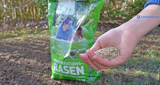NovaGreen Nachsaat - Reparaturrasen 2,5kg im Test - Widerstandsfähig gegen Trockenheit