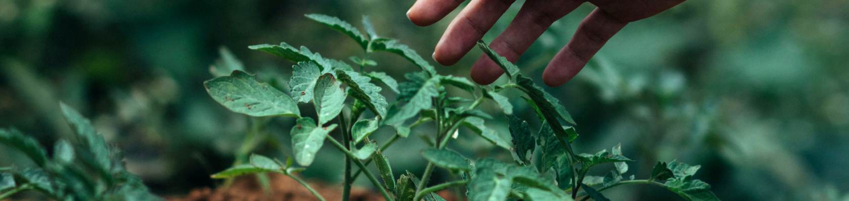 Produkte aus der Kategorie Gartenbau im Test auf ExpertenTesten.de