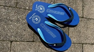 Was ist ein Flip-Flops Test und Vergleich?