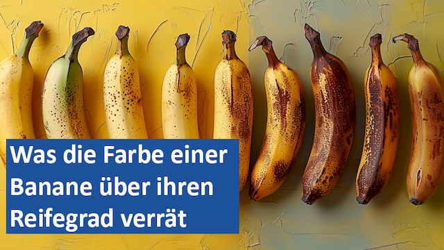 140924 05 GER Was die Farbe einer Banane über ihren Reifegrad verrät