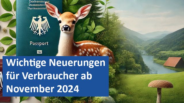 011124 16 GER Wichtige Neuerungen für Verbraucher ab November 2024