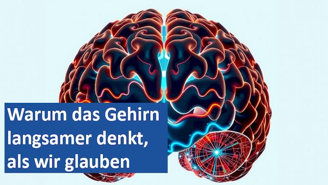 201224 04 GER Warum das Gehirn langsamer denkt, als wir glauben