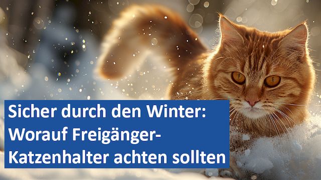 190125 20 GER Sicher durch den Winter Worauf Freigänger-Katzenhalter achten sollten
