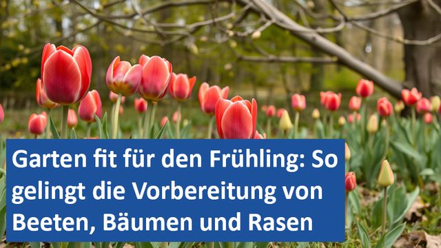 02032025 01 GER Garten fit für den Frühling So gelingt die Vorbereitung von Beeten, Bäumen und Rasen